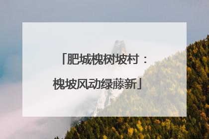 肥城槐树坡村：槐坡风动绿藤新