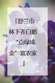 舒兰市：林下养白鹅 “点绿成金”富农家