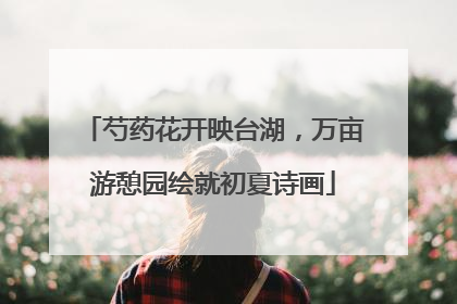 芍药花开映台湖，万亩游憩园绘就初夏诗画