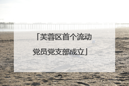 芙蓉区首个流动党员党支部成立