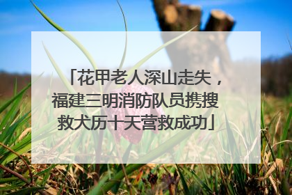 花甲老人深山走失，福建三明消防队员携搜救犬历十天营救成功