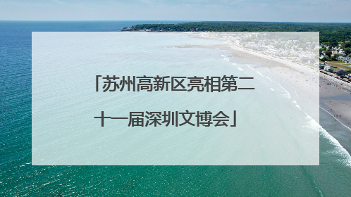 苏州高新区亮相第二十一届深圳文博会