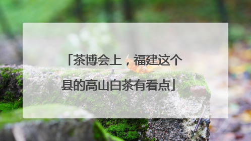 茶博会上，福建这个县的高山白茶有看点