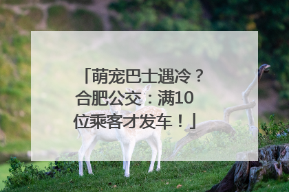 萌宠巴士遇冷？合肥公交：满10位乘客才发车！
