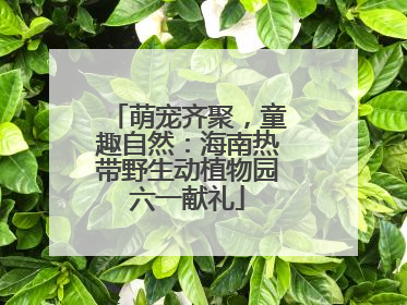 萌宠齐聚，童趣自然：海南热带野生动植物园六一献礼