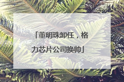 董明珠卸任，格力芯片公司换帅