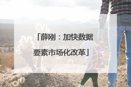 薛刚：加快数据要素市场化改革