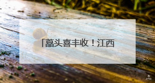 藠头喜丰收！江西莲花小产业撬动乡村振兴“大发展”