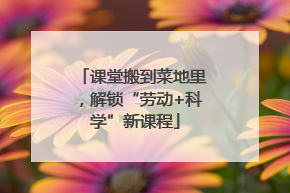 课堂搬到菜地里，解锁“劳动+科学”新课程