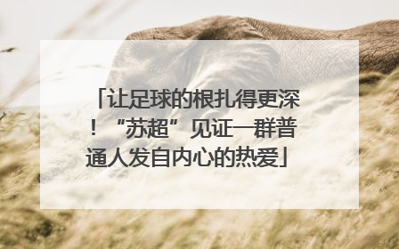 让足球的根扎得更深！“苏超”见证一群普通人发自内心的热爱