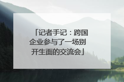 记者手记：跨国企业参与了一场别开生面的交流会