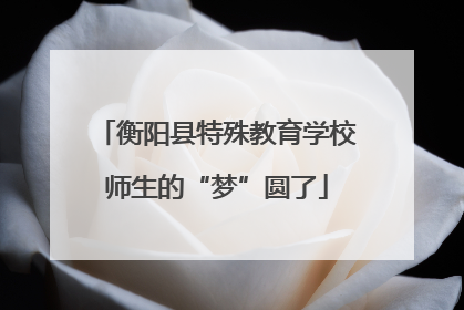 衡阳县特殊教育学校师生的“梦”圆了