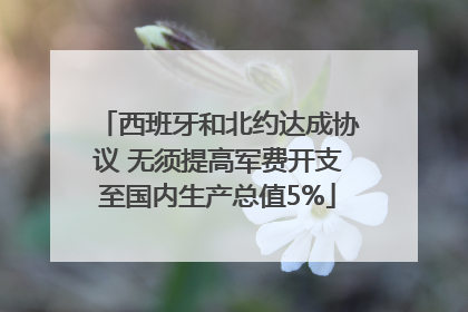 西班牙和北约达成协议 无须提高军费开支至国内生产总值5%