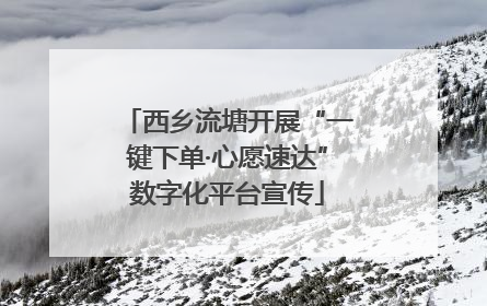 西乡流塘开展“一键下单·心愿速达”数字化平台宣传