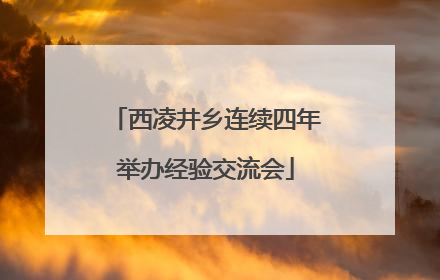 西凌井乡连续四年举办经验交流会