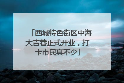 西城特色街区中海大吉巷正式开业，打卡市民真不少