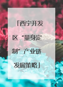 西宁开发区“量身定制”产业链发展策略
