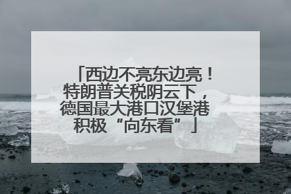 西边不亮东边亮！特朗普关税阴云下，德国最大港口汉堡港积极“向东看”