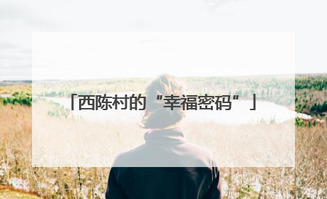 西陈村的“幸福密码”
