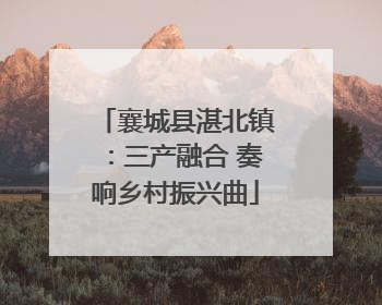 襄城县湛北镇：三产融合 奏响乡村振兴曲