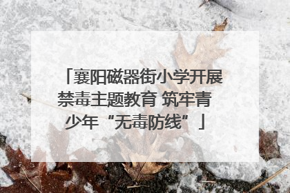 襄阳磁器街小学开展禁毒主题教育 筑牢青少年“无毒防线”