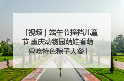 视频｜端午节撞档儿童节 重庆动物园萌娃看萌兽吃特色粽子大餐