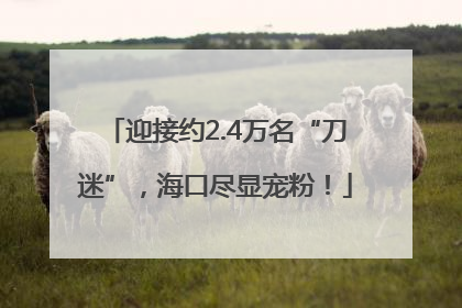 迎接约2.4万名“刀迷”，海口尽显宠粉！