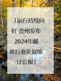 运行持续向好 贵州发布2024年邮政行业发展统计公报