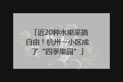 近20种水果采摘自由！杭州一小区成了“四季果园”