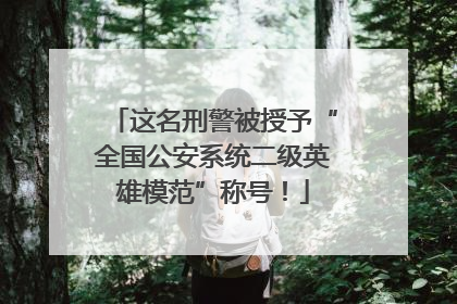 这名刑警被授予“全国公安系统二级英雄模范”称号！