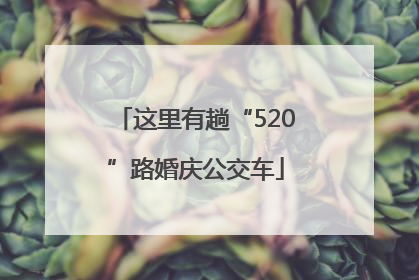 这里有趟“520”路婚庆公交车