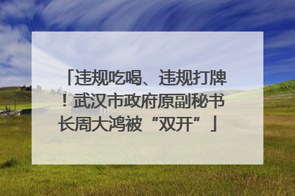 违规吃喝、违规打牌！武汉市政府原副秘书长周大鸿被“双开”