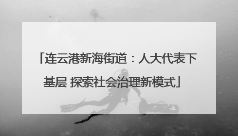 连云港新海街道：人大代表下基层 探索社会治理新模式