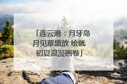 连云港：月牙岛月见草盛放 绘就初夏浪漫画卷
