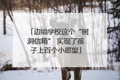 边境学校这个“树洞信箱” 实现了孩子上百个小愿望