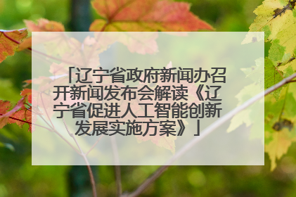辽宁省政府新闻办召开新闻发布会解读《辽宁省促进人工智能创新发展实施方案》