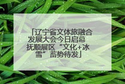 辽宁省文体旅融合发展大会今日启幕 抚顺展区“文化+冰雪”蓄势待发
