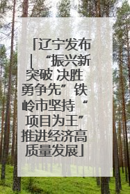 辽宁发布｜“振兴新突破 决胜勇争先”铁岭市坚持“项目为王”推进经济高质量发展