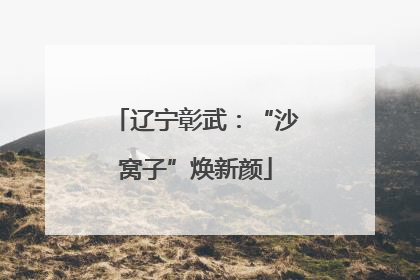 辽宁彰武：“沙窝子”焕新颜