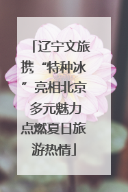 辽宁文旅携“特种冰”亮相北京 多元魅力点燃夏日旅游热情