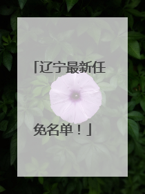 辽宁最新任免名单！