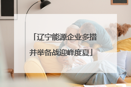 辽宁能源企业多措并举备战迎峰度夏