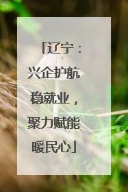 辽宁：兴企护航稳就业，聚力赋能暖民心