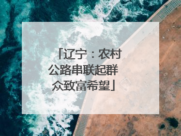 辽宁：农村公路串联起群众致富希望