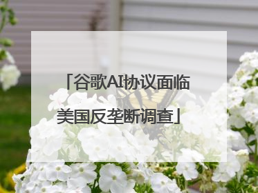 谷歌AI协议面临美国反垄断调查