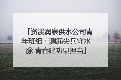资溪润泉供水公司青年班组：测漏尖兵守水脉 青春建功显担当