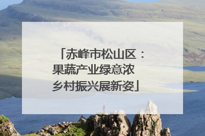 赤峰市松山区：果蔬产业绿意浓 乡村振兴展新姿