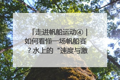 走进帆船运动④｜如何看懂一场帆船赛？水上的“速度与激情”同样精彩