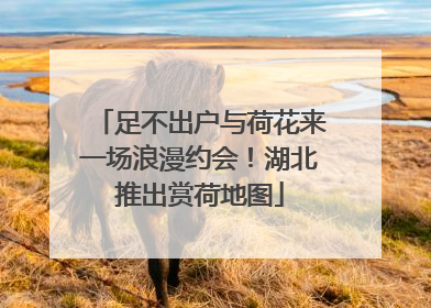 足不出户与荷花来一场浪漫约会！湖北推出赏荷地图