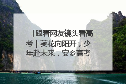 跟着网友镜头看高考｜葵花向阳开，少年赴未来，安乡高考首日的希望图景